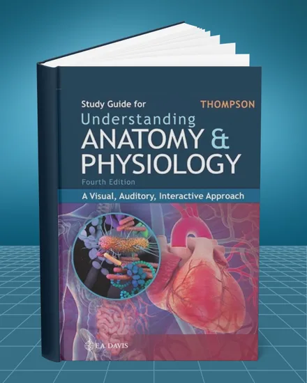 Study Guide for Understanding Anatomy and Physiology A Visual Auditory Interactive Approach 4th edition