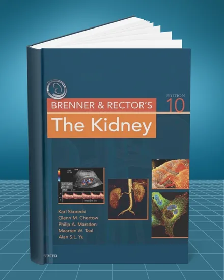 Brenner and Rectors The Kidney Two Volume Set 10th edition