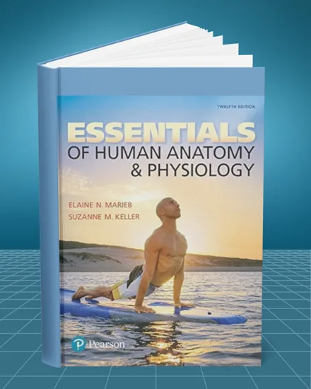Essentials of Human Anatomy and Physiology 12th edition
