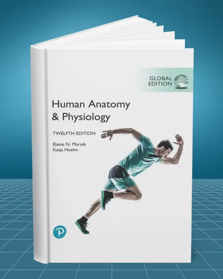 Human Anatomy and Physiology Global Edition 12th edition