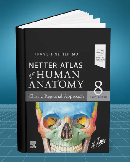 Netter Atlas of Human Anatomy Classic Regional Approach 8th edition