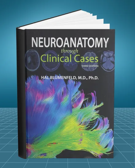 Neuroanatomy through Clinical Cases 3rd edition