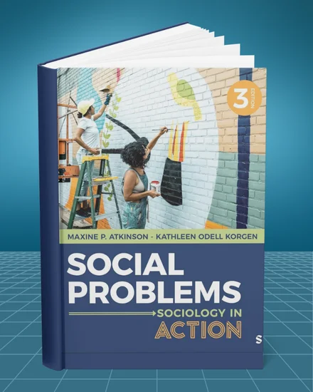 Social Problems: Sociology in Action 3rd edition